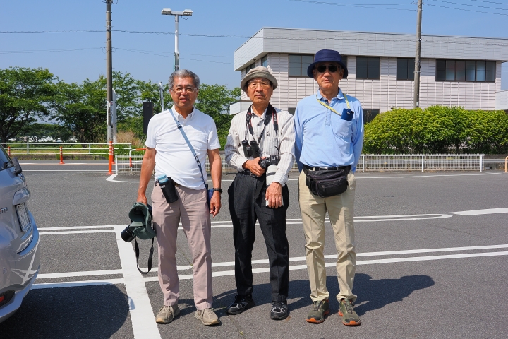participants